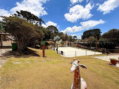 Sítio, 14 quartos, 400 m² - Foto 5