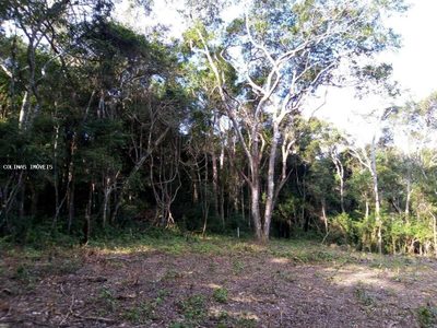 Terreno - Foto 2