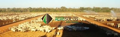 Terreno, 1 hectares - Foto 4