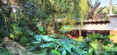Sítio, 3 quartos, 6300 m² - Foto 3