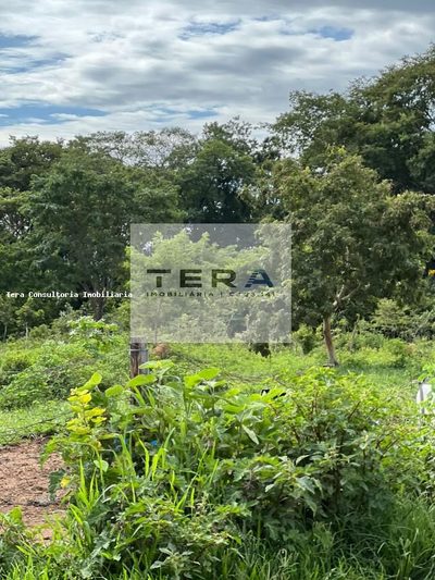 Terreno, 2 hectares - Foto 4