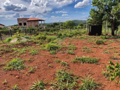 Terreno, 800 m² - Foto 3