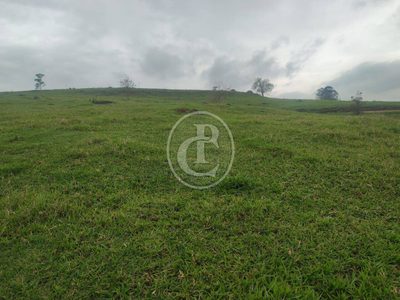Terreno, 20 hectares - Foto 1