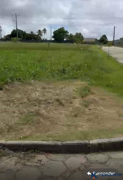 Terreno - Foto 2