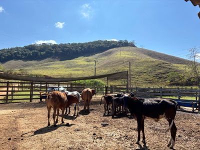 Fazenda, 1 quarto - Foto 2