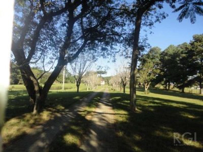 Sítio, 3 quartos, 4 hectares - Foto 3