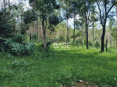 Terreno, 5 hectares - Foto 1