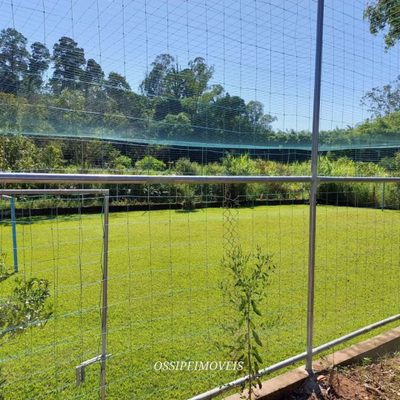Chácara, 2 quartos, 4000 m² - Foto 5