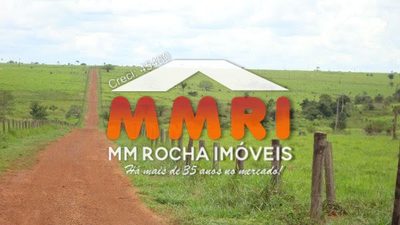 Fazenda, 12 hectares - Foto 3