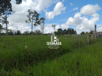 Fazenda, 25 hectares - Foto 3