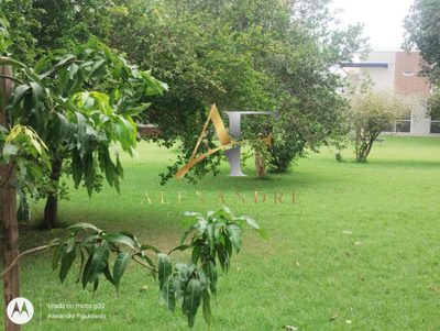 Terreno, 430 m² - Foto 4