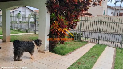 Casa, 4 quartos, 250 m² - Foto 3