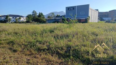 Terreno, 210 hectares - Foto 3