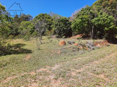 Terreno, 2 hectares - Foto 4