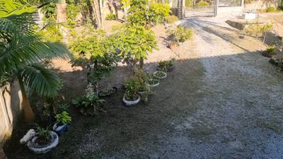 Chácara, 4 quartos, 1800 m² - Foto 5