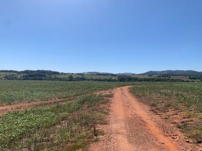 Fazenda, 133 hectares - Foto 1