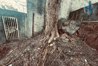 Terreno, 250 m² - Foto 4