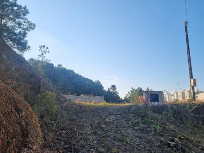 Terreno, 319 m² - Foto 4
