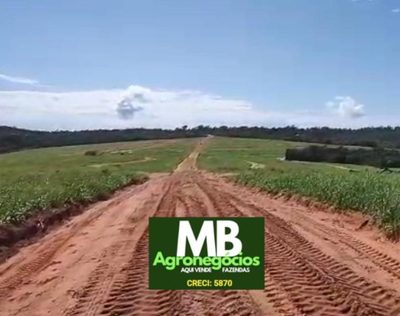 Fazenda, 400 hectares - Foto 2