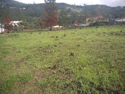 Terreno, 2000 m² - Foto 1