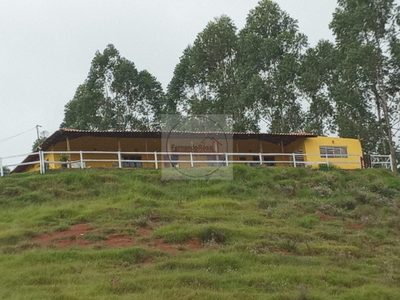 Chácara, 4 hectares - Foto 2