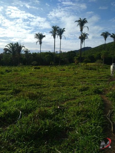 Chácara, 3 quartos, 15 hectares - Foto 1