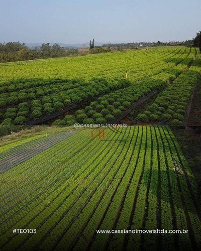 Terreno, 2 hectares - Foto 1
