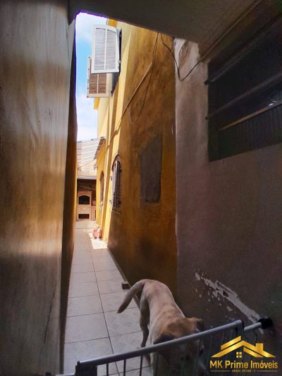 Casa, 4 quartos, 180 m² - Foto 5