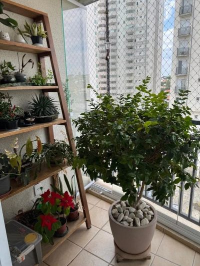 Apartamento, 3 quartos, 95 m² - Foto 4