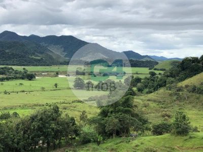 Fazenda, 4 quartos - Foto 1