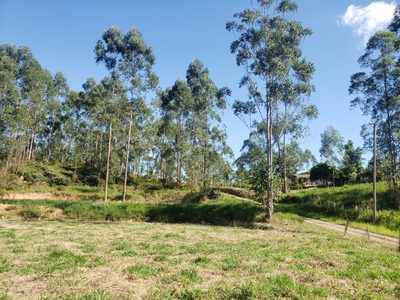 Terreno, 1065 m² - Foto 3