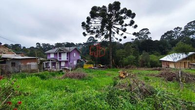Terreno, 1429 m² - Foto 2