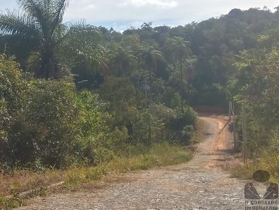 Chácara, 2 hectares - Foto 4
