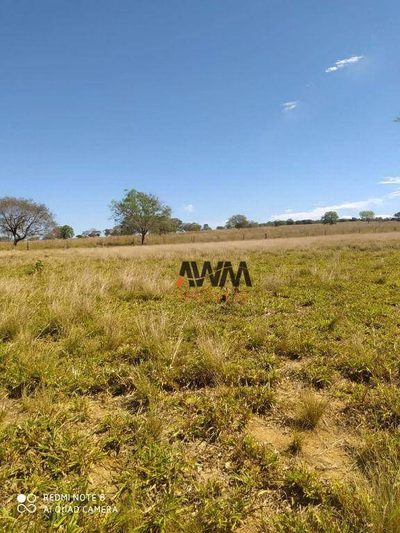 Fazenda, 1646 hectares - Foto 5