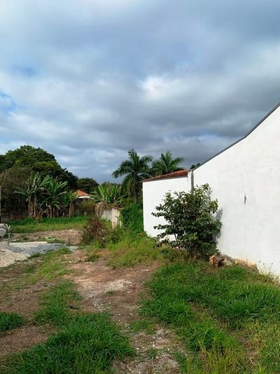 Terreno, 981 m² - Foto 5