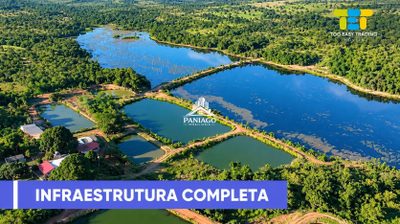 Fazenda, 117 hectares - Foto 4