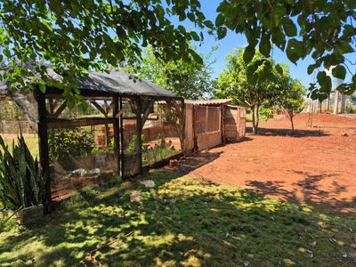 Sítio, 3 quartos, 8000 m² - Foto 3