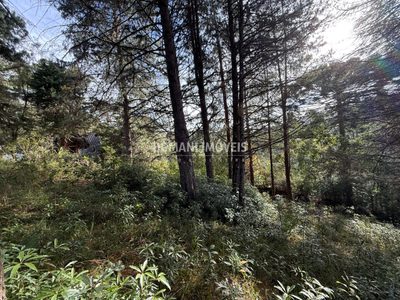 Terreno, 1010 m² - Foto 5