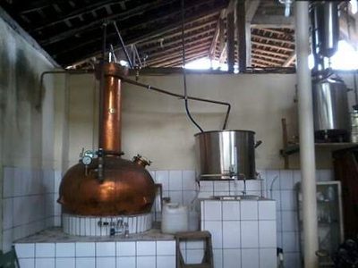 Fazenda, 64 m² - Foto 3