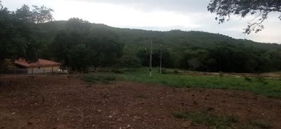 Fazenda, 673 hectares - Foto 5