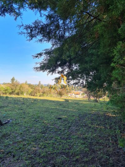 Terreno, 5000 m² - Foto 5