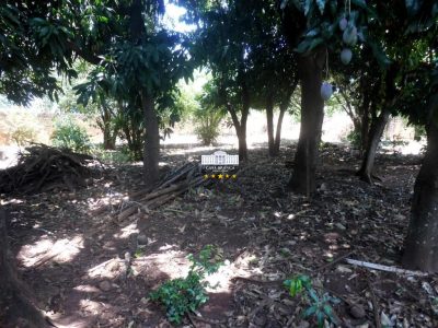 Terreno, 972 m² - Foto 3