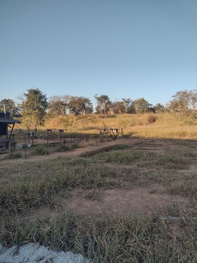 Terreno - Foto 4