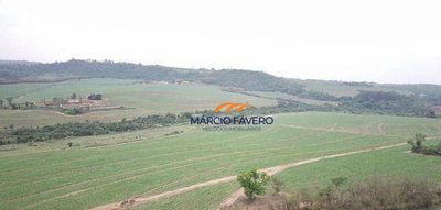 Fazenda, 293 hectares - Foto 3