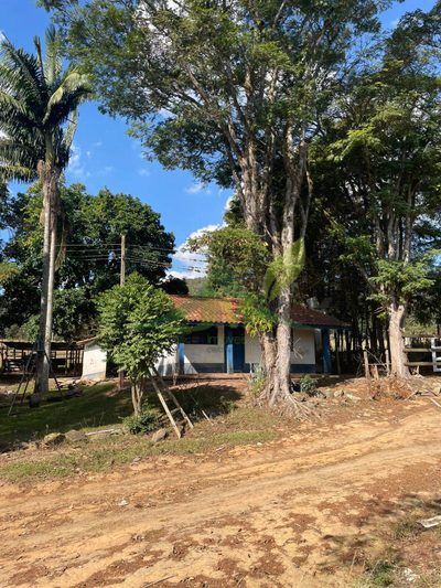 Sítio, 4 quartos, 4 hectares - Foto 2
