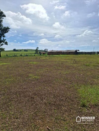 Fazenda, 80 hectares - Foto 2