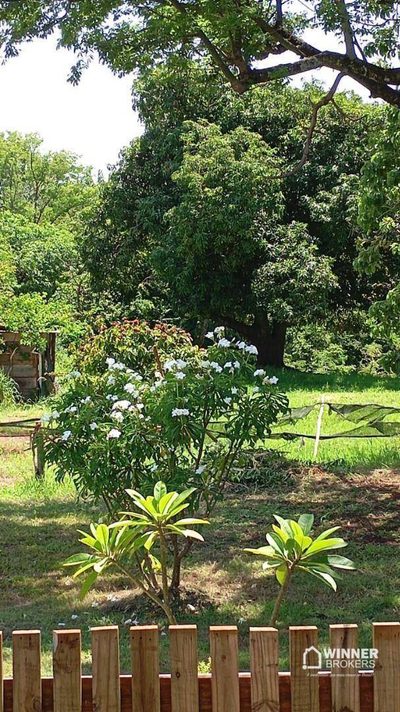 Chácara, 2 quartos, 3 hectares - Foto 1