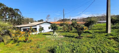 Fazenda, 24 hectares - Foto 5