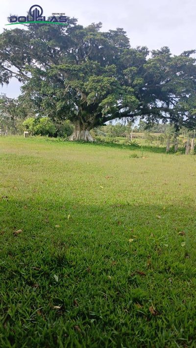 Terreno - Foto 4