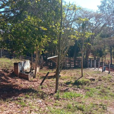 Chácara, 1 quarto, 170 m² - Foto 3